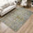 Machine Washable Indoor/Outdoor Mattis ACN2310 Abstract Rug-1434599990