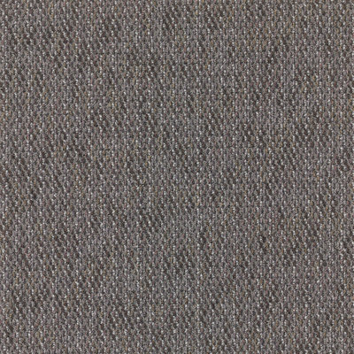 SAMPLE - Mt Desert Level Loop Glue Down or Adhesive Tabs Carpet Tile