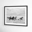 Horse Run I by PHBurchett-558661564-558661566