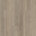 Beige saule