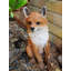 Deslynn Animals Figurines & Sculptures