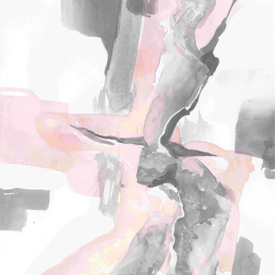Blushing Gray I Crop by Chris Paschke - Wrapped Canvas Graphic Art