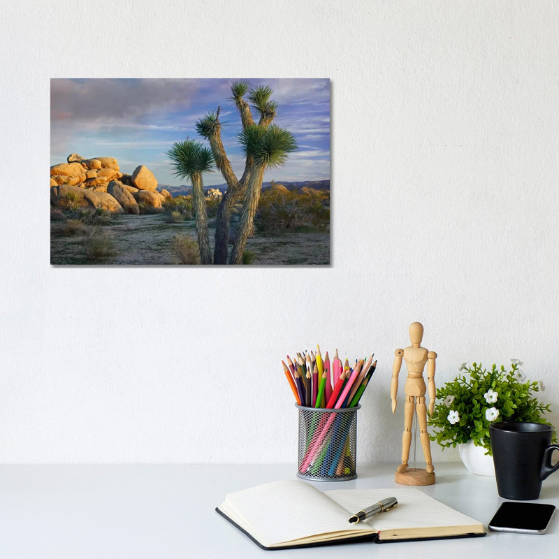 Joshua Tree And Boulders, Joshua Tree National Park, California by Tim Fitzharris - Wrapped Canvas Print