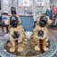 Animals Figurines & Sculptures-1486165509