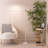 Chaze 19.35cm Powder Coated LED Arched Floor Lamp