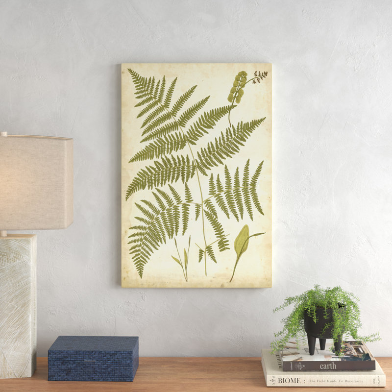 Fern Portfolio IV by Francis G. Heath - Painting Print, 76cm H x 51cm W, Wrapped Canvas