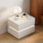 Modern Bedside Table 2 Drawer, Dimmable LED Lighting Nightstand with Wireless Charger-718613077