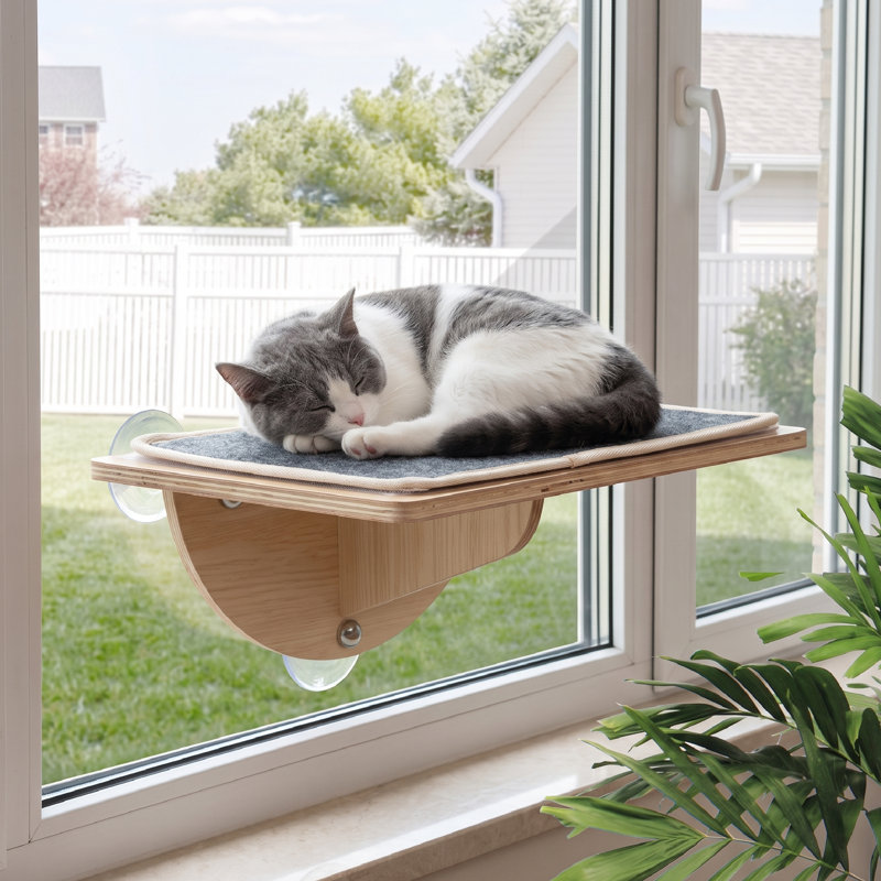 Lit pour perchoir pour chat, lit pour chat avec ventouses robustes