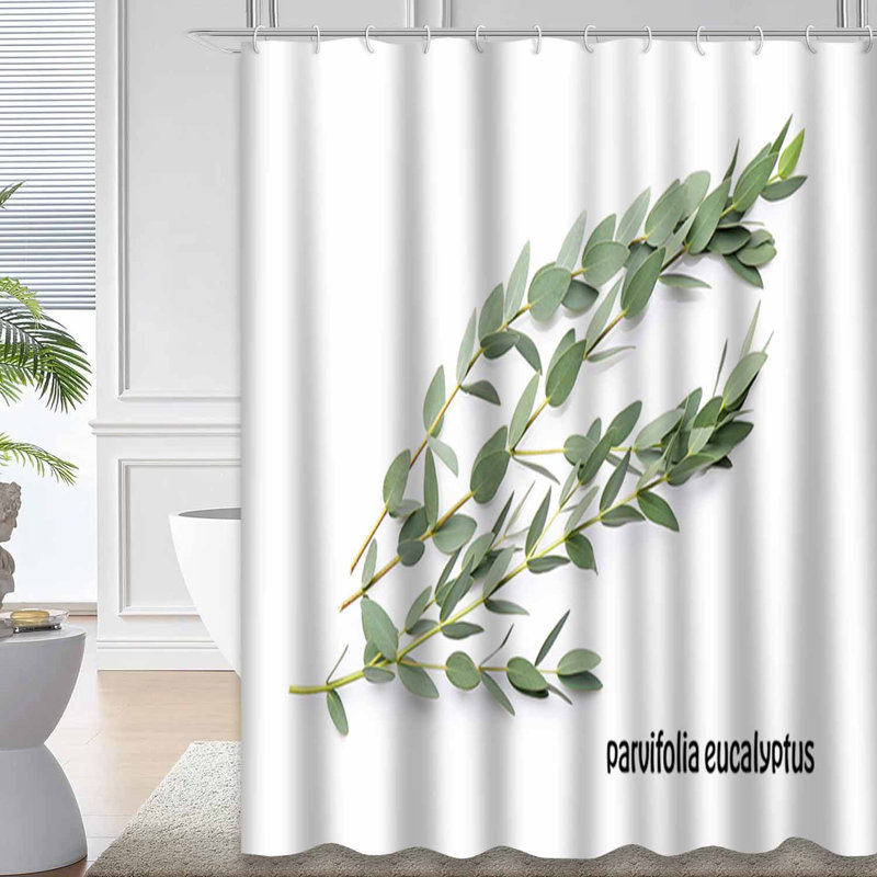 Rideau de douche vert à 12 crochets vert Eucalyptus, L 72 po x l 72 po