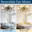 Ventilateur de plafond 32 po
