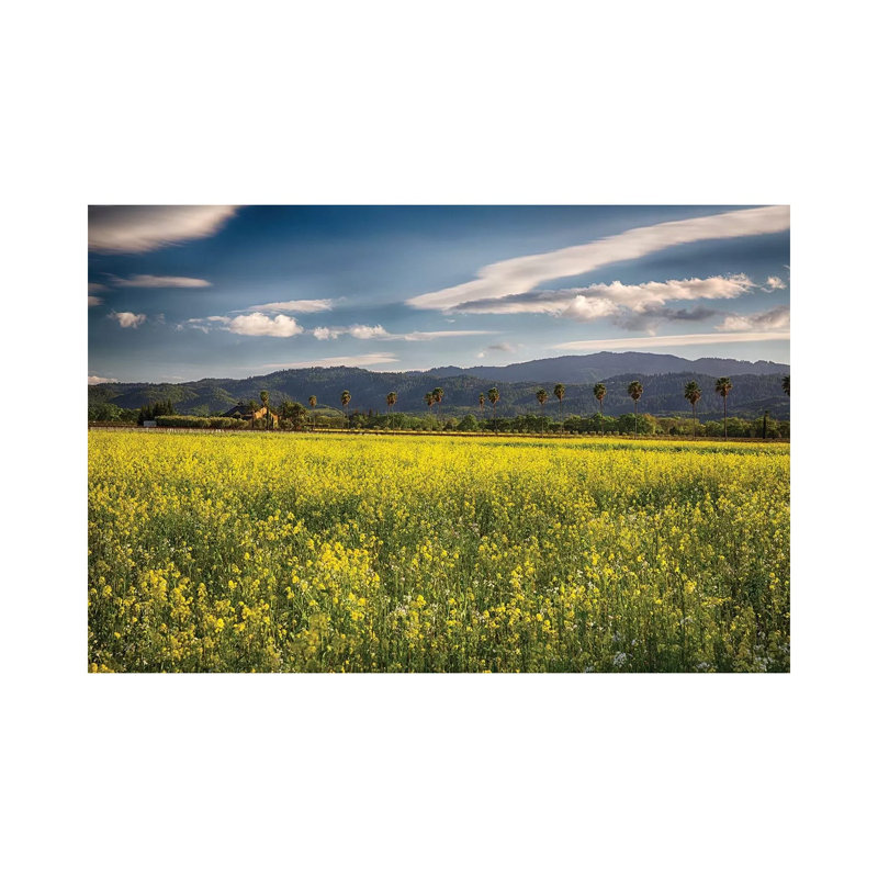 Napa Valley Spring Vista With Blooming Yellow Mustard by George Oze - Wrapped Canvas Print, 20.32 cm H x 30.48 cm W
