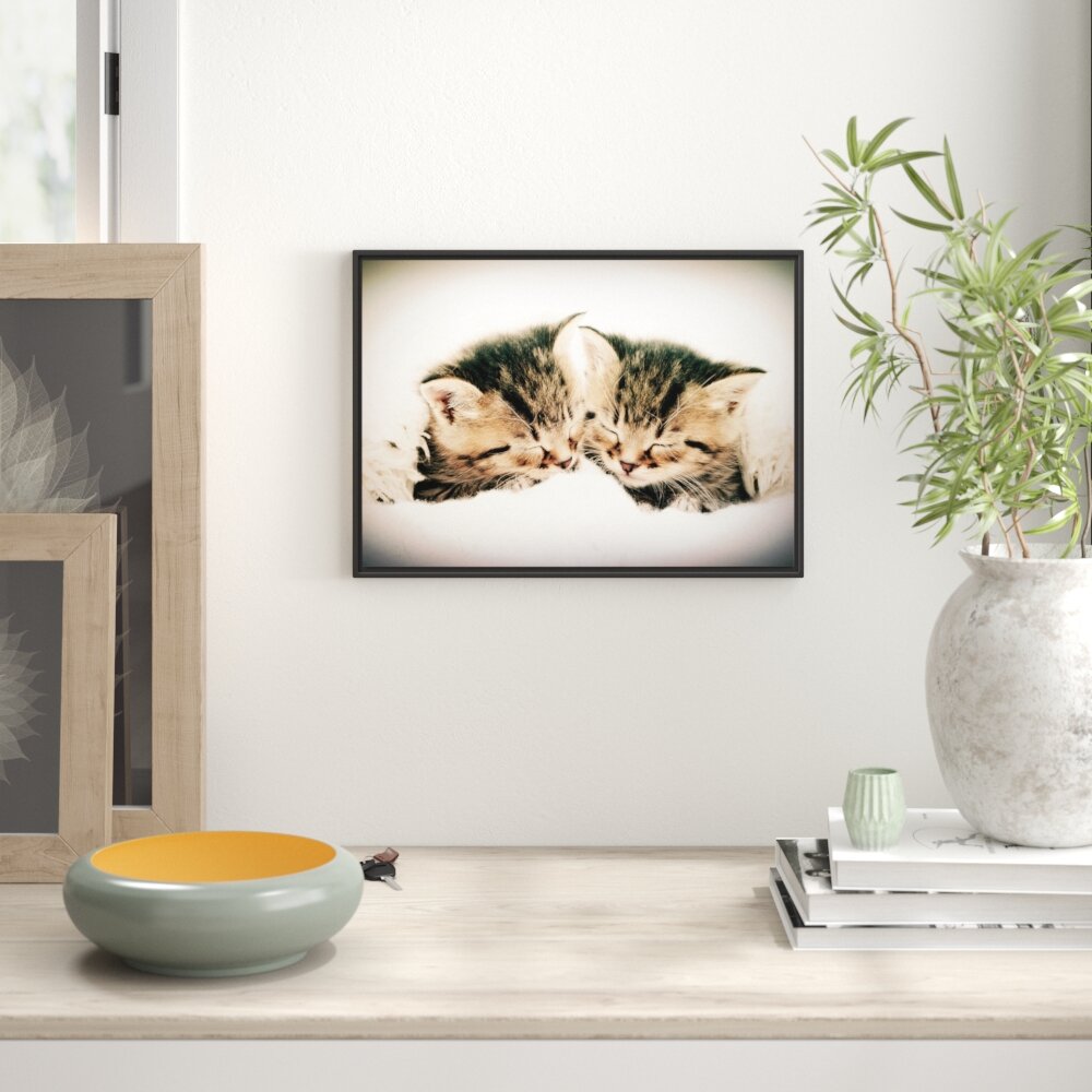 Gerahmtes Wandbild Katzen Herzform