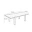 Table de salle à manger en bois de frêne massif.-2114877609