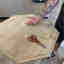 Photos des clients 2 de 2