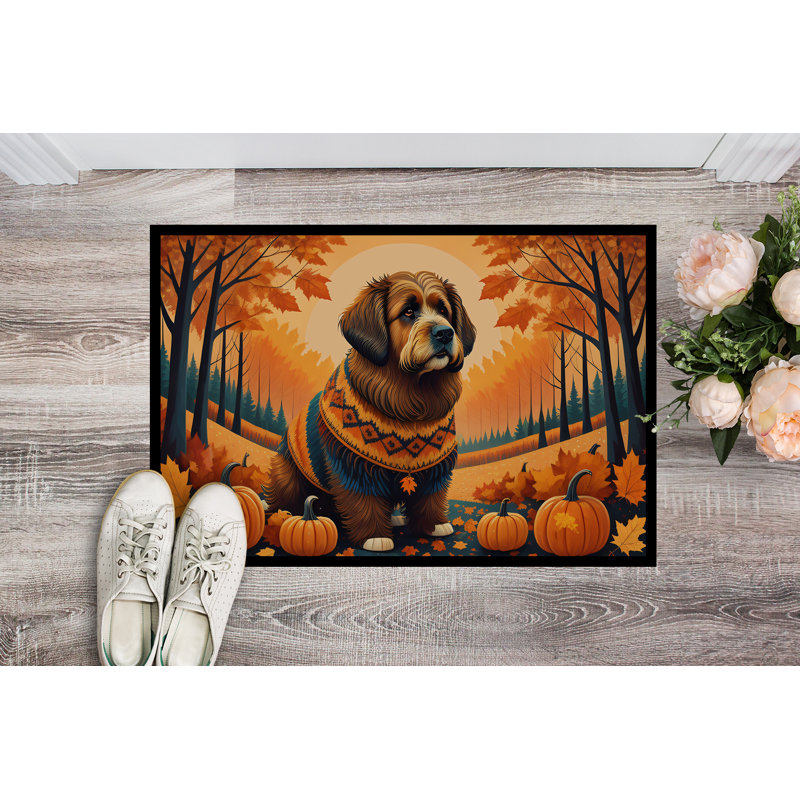 Tapis d'intérieur antidérapant Noboyuki Briard, L 24 po x L 36 po
