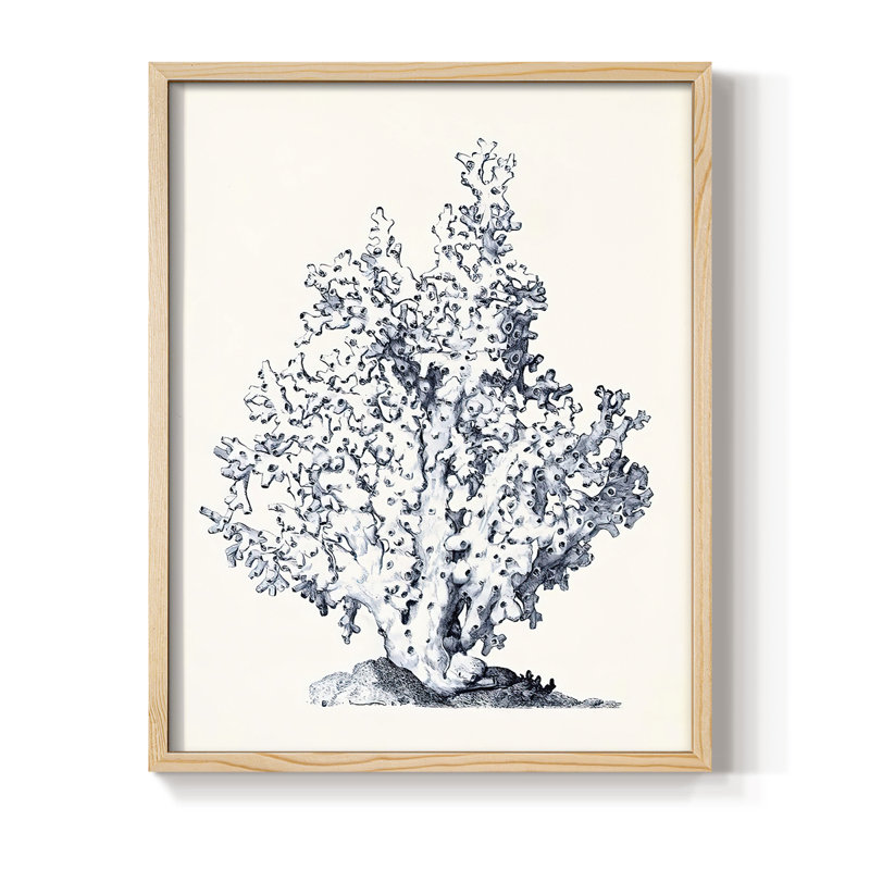 Blue Antique Coral I Framed Print - Solid Wood, 11" H x 9" W