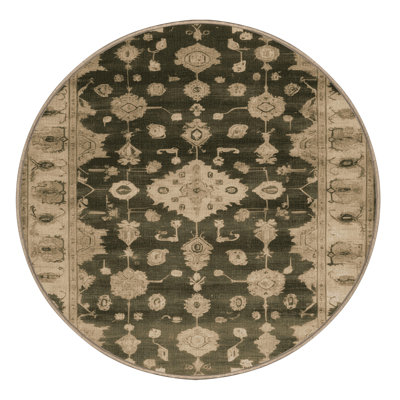 Machine Washable Overdyed Brown Area Rug