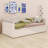 Daybed With Extended Pop Up Trundle-1804370668