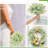Baby's Breath Arrangement-1685815681