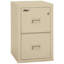 Fireproof 2 - Drawer File Cabinet