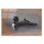 «American Loon Family» par Jim Brune, art mural en verre acrylique, 36 po x 24 po