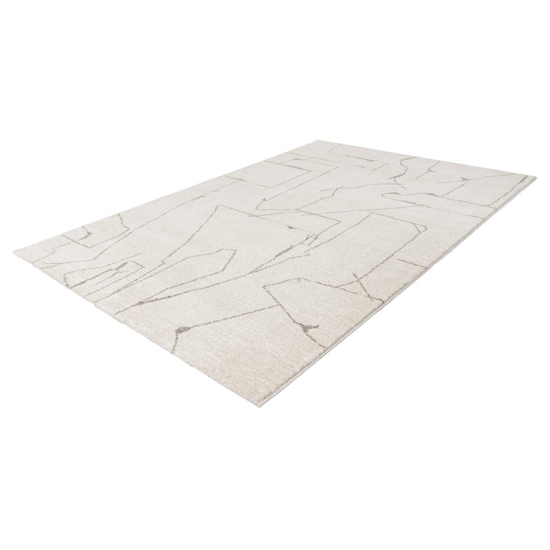 Cashana Vintage Look Area Rug, Rectangle 160 x 230cm