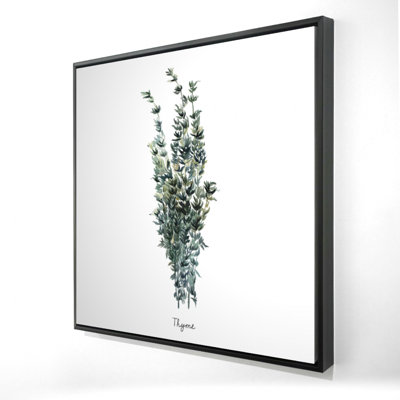 " Thyme Leaves Bundle - En "