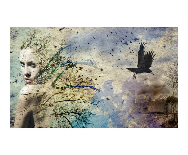 Identity Change 4.5m x 270cm Wallpaper Mural