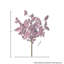 Buisson 19 "UV Tradescantia
