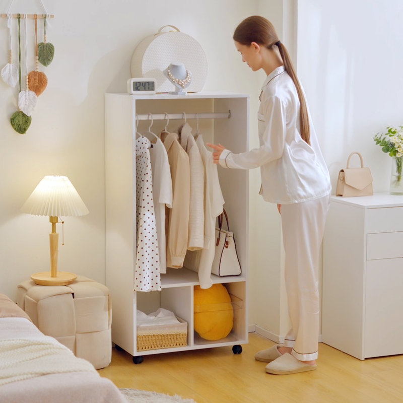 Dezhaun 60cm Closet System, White