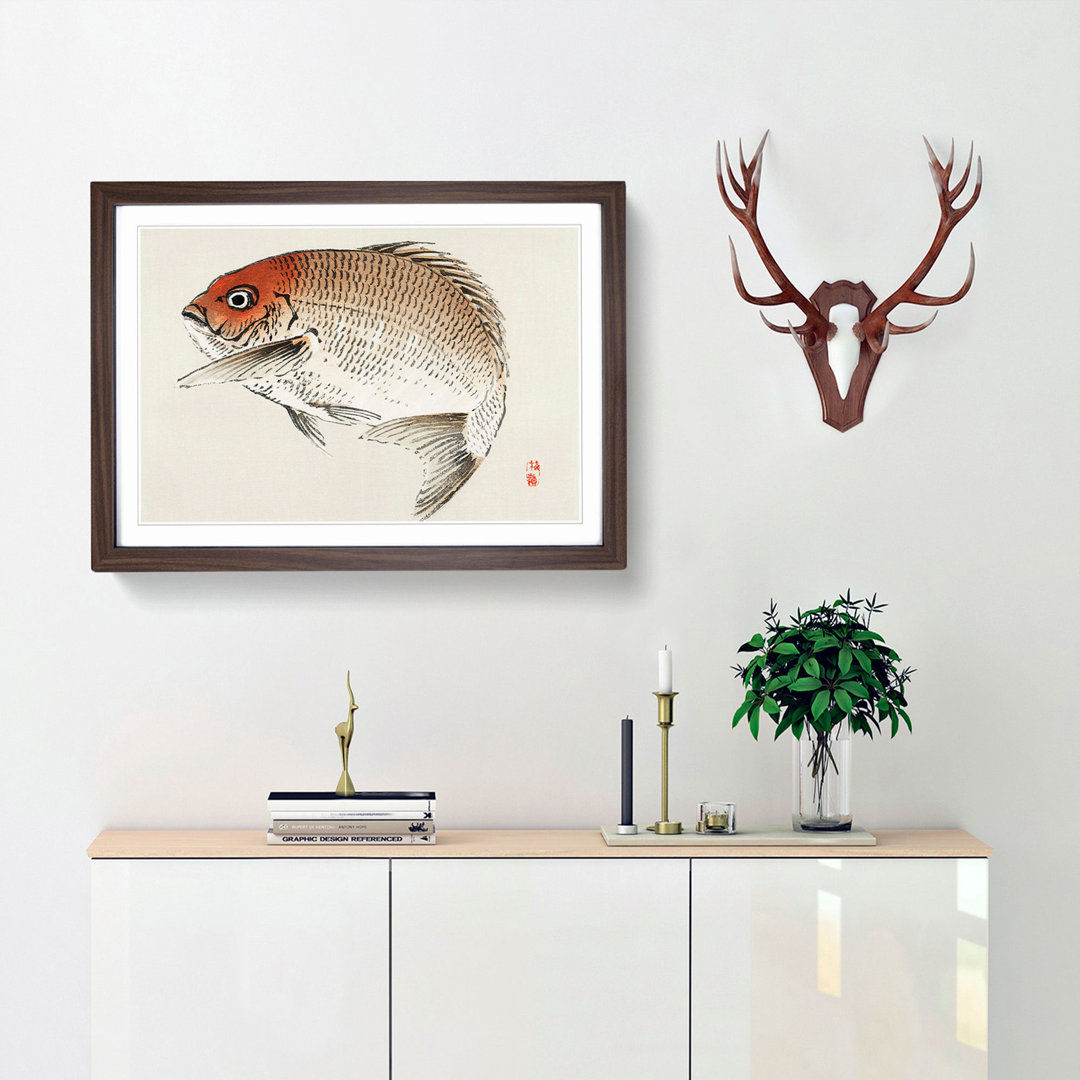 Red Seabream Fish by Kono Bairei - Picture Frame Painting Print