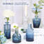 Ensemble de 12 vases Bud-1576442143