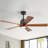 52'' Dimmable Solid Wood Blades Ceiling Fan With Lights And Remote Control Reversible Dc Motor Timer Memory-1783718368