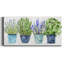 Collection Fresh Herb - impression sur toile tendue-2089472282