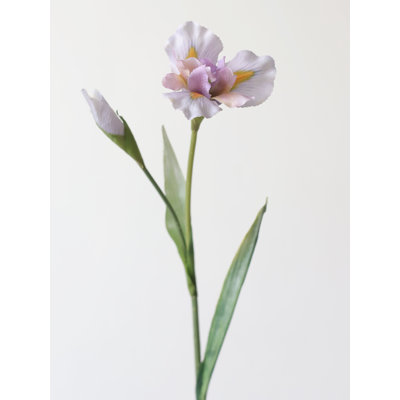 Tige fantaisiste d'iris - 29,9 po