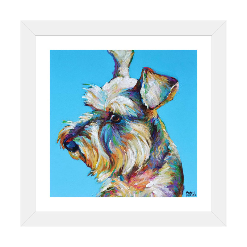 «Dylan the Schnauzer» par Robert Phelps - reproduction d'art, H 24 po x l 24 po x p 1 po, Papier encadré blanc, Blanc