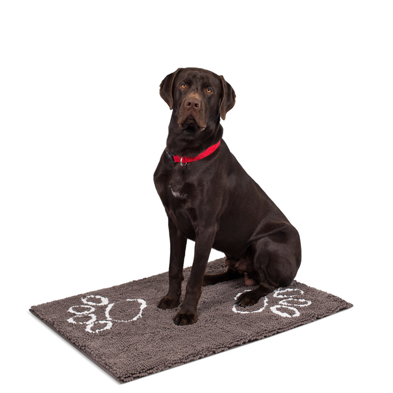 Non-Slip Indoor / Outdoor Doormat