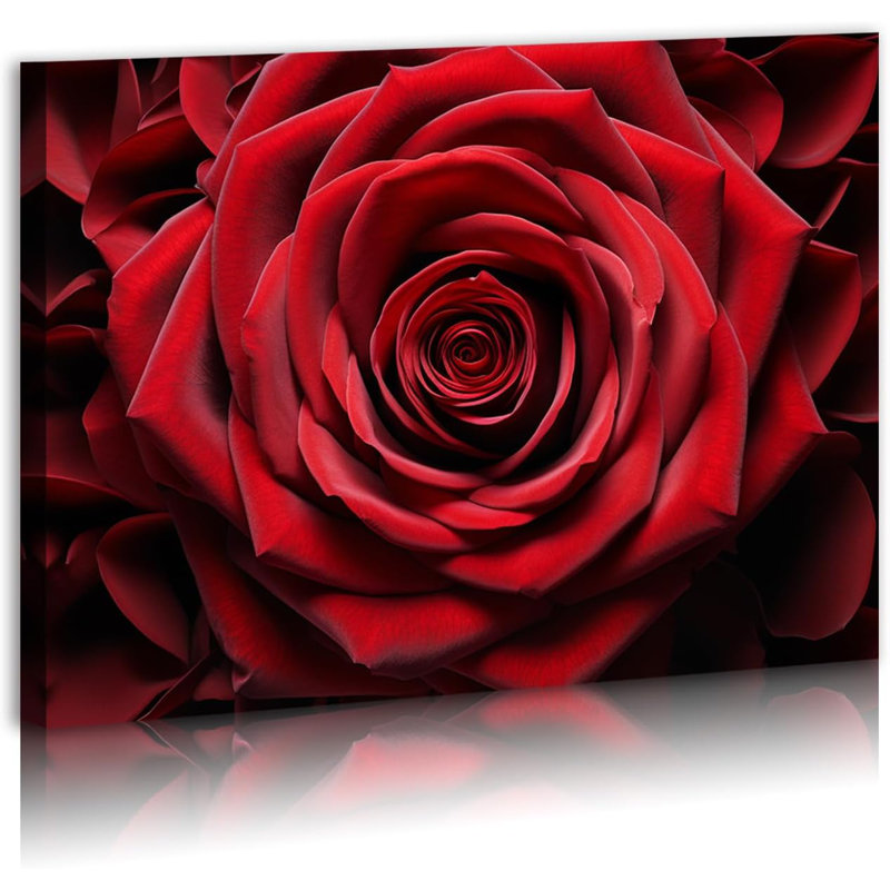 «Red Rose», impression sur toile giclée