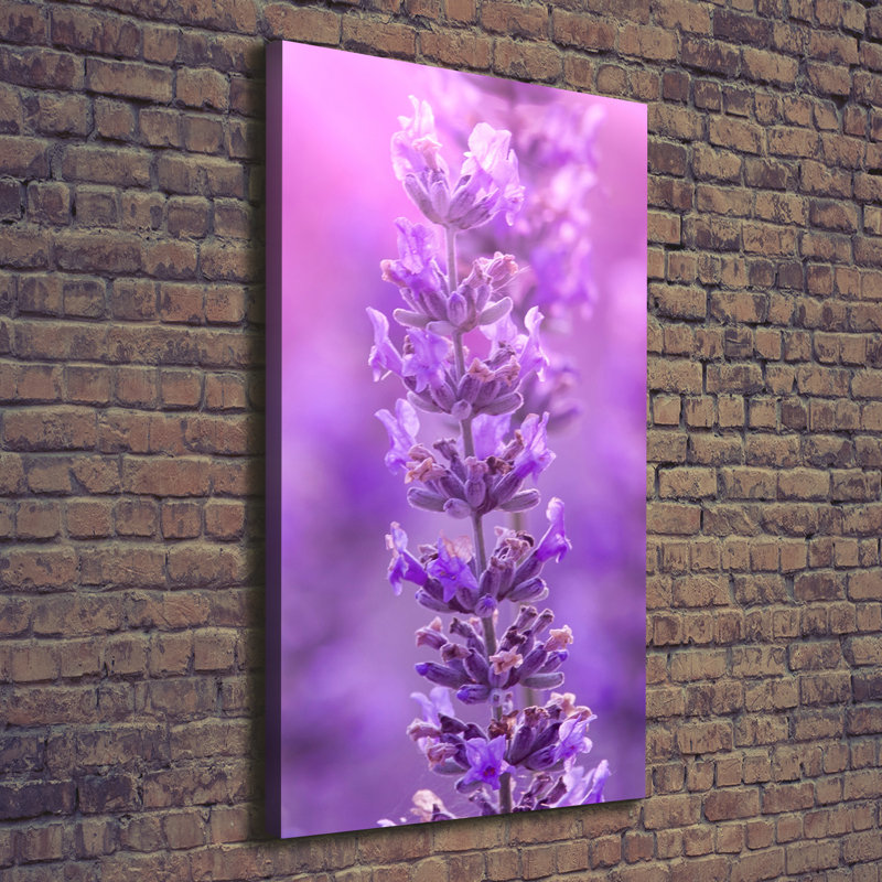 Lavender Field - Wrapped Canvas Print