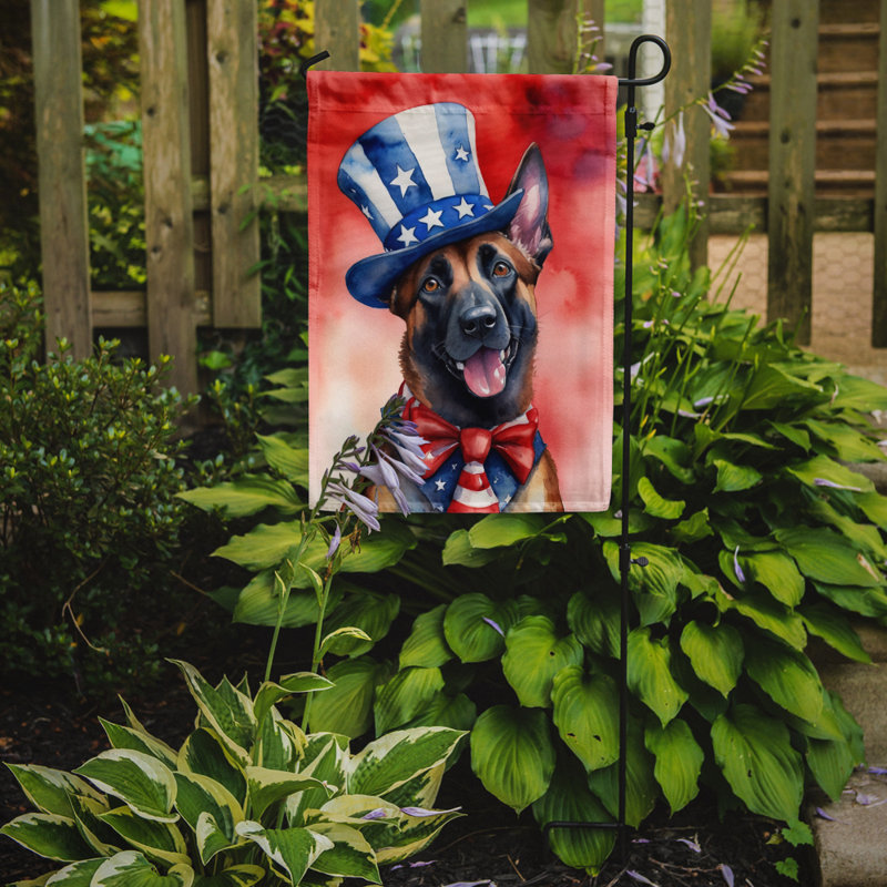 Drapeau patriotique du jardin américain, Malinois belge