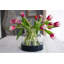 3-in-1 Glass Bloom Vase-1909190253