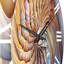 Horloge murale Seashell Symphony II-93382746