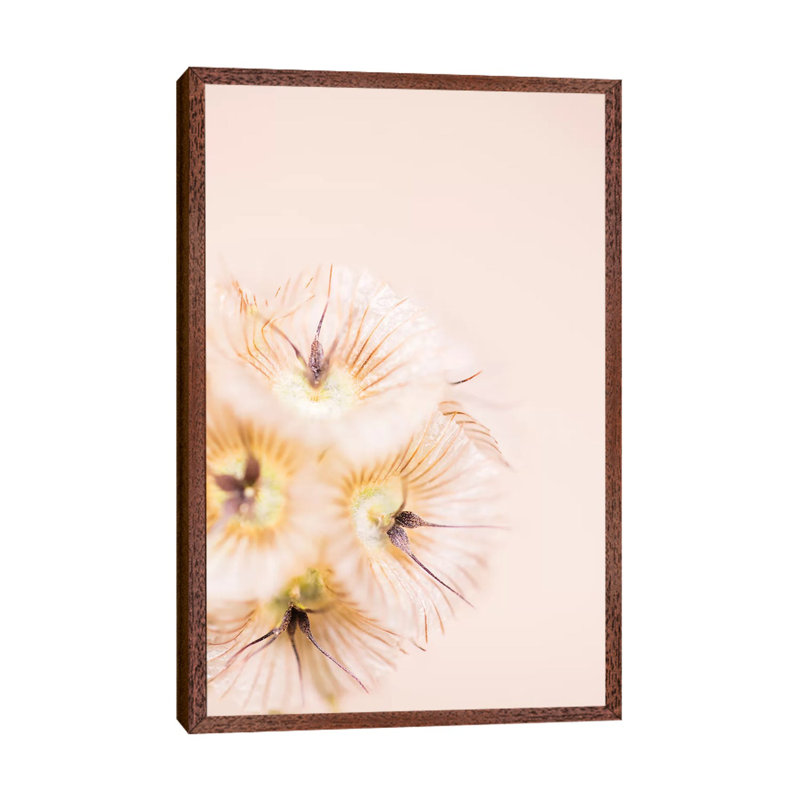 Bleach Blonde III 1 Piece Wall Art on Canvas, 101.6 cm H x 66.04 cm W, Classic Wood Framed