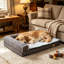 Ross Orthopedic Pet Bed-69311116