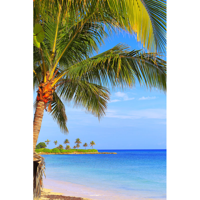 Plage idyllique avec palmiers tropicaux par Agustavop, H 48 po x l 32 po