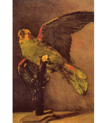 " Parrot " by Vincent Van Gogh