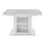 Table de salle à manger extensible 47,24 "à 63" moderne avec plateau en marbre, base d'armoire de rangement avec pieds en métal-475021493