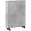 Ricaria 68cm H x 48cm W Bookcase-1511602891