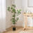 Artificial Milan Leaf Bonsai Tree with Realistic Leaves and Decorative Branches