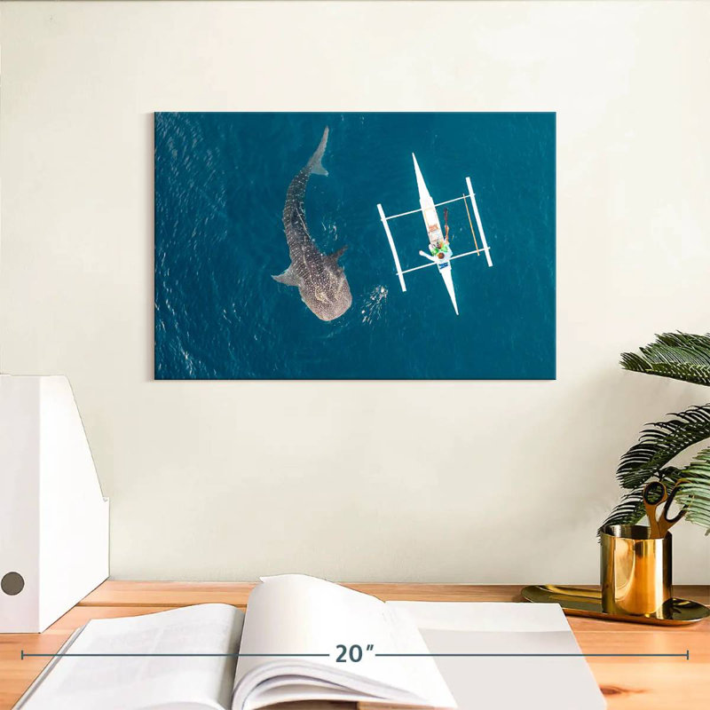 Requin-baleine Brampt Oslob, H 8 po x l 12 po